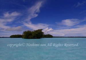 「パラオ」　ほしみさん