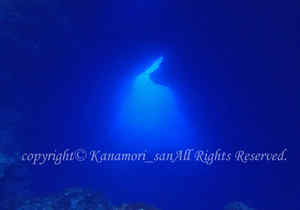 「グロット」　かなもりさん撮影