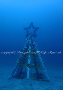 「水中クリスマスツリー」　みねぎしさん
