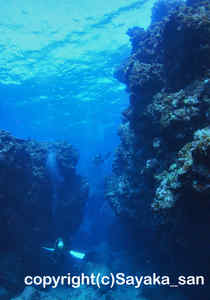 「シャドウケーブ」　さやかさん撮影