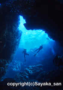 「シャドウケーブ」　さやかさん撮影