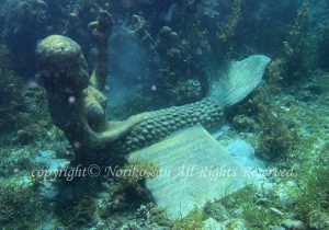 「人魚」　のりこさん