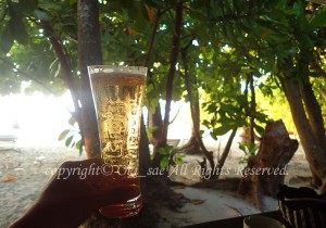 「モルディブ」　おおきさん