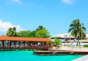 「モルディブ」　のりこさん