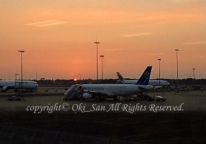「コロンボ」　おおきさん