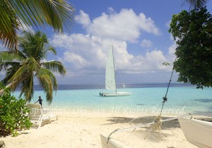 「モルディブ」　おおきさん