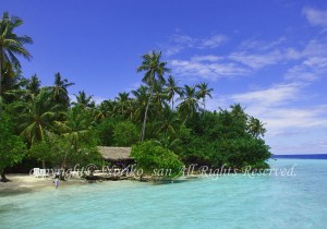 「モルディブ」　のりこさん