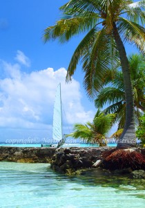 「モルディブ」　のりこさん