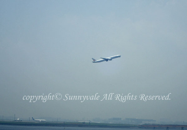 羽田空港