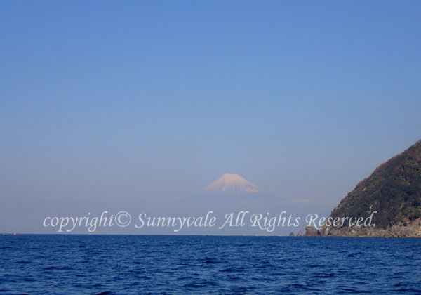 富士山バッチリ