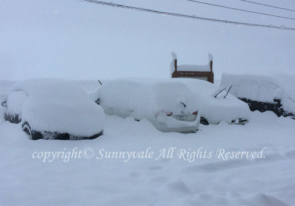 雪でレンタカーが・・・