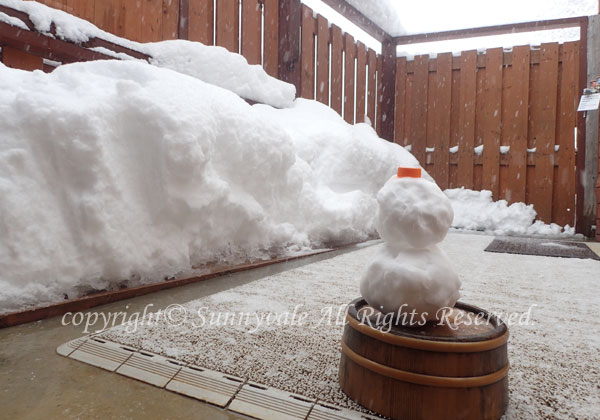 雪を見ながら露天風呂