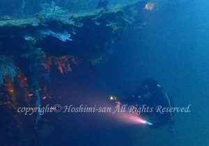 「沈船」　ほしみさん