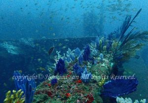 「沈船」　ほしみさん