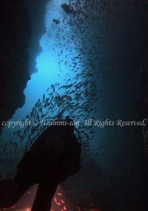 「小曽我洞窟」　ほしみさん