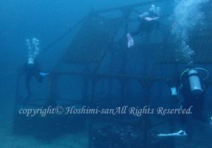 「ダイワハウス」　ほしみさん