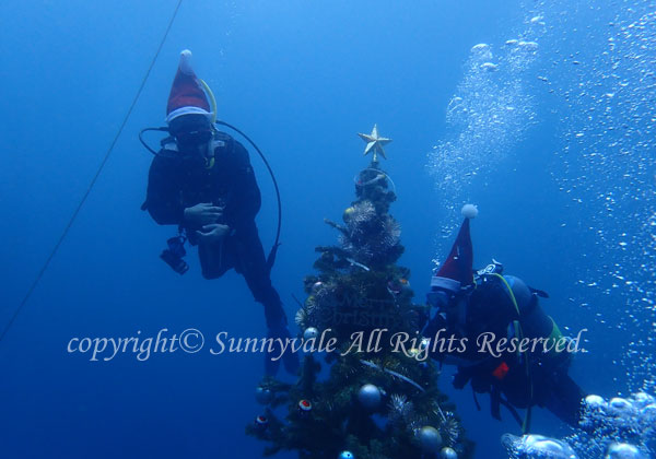 水中クリスマスツリー