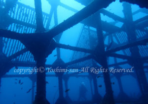 「ダイワハウス」　よしみさん